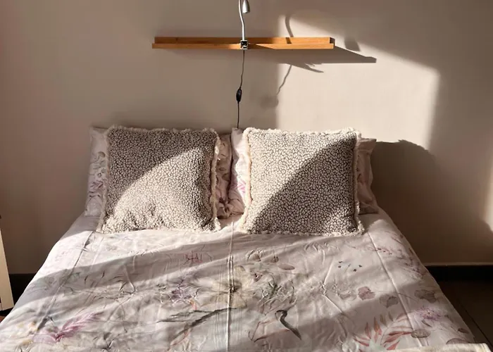 Superbe 34m2 Avec Terrasse Apercu *