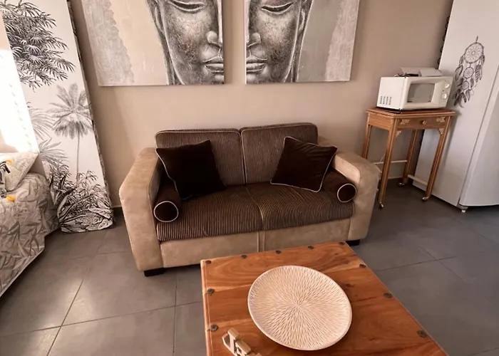 Superbe 34m2 Avec Terrasse Aperçu Sanary-sur-Mer