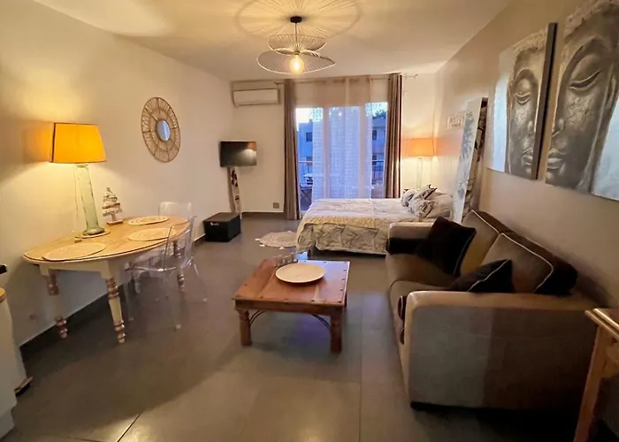Superbe 34m2 Avec Terrasse Aperçu Appartement Sanary-sur-Mer